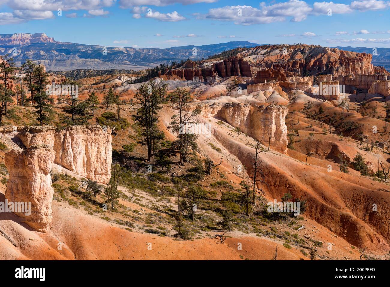 Bryce Canyon dal Queens Garden Trail, Utah, USA Foto Stock