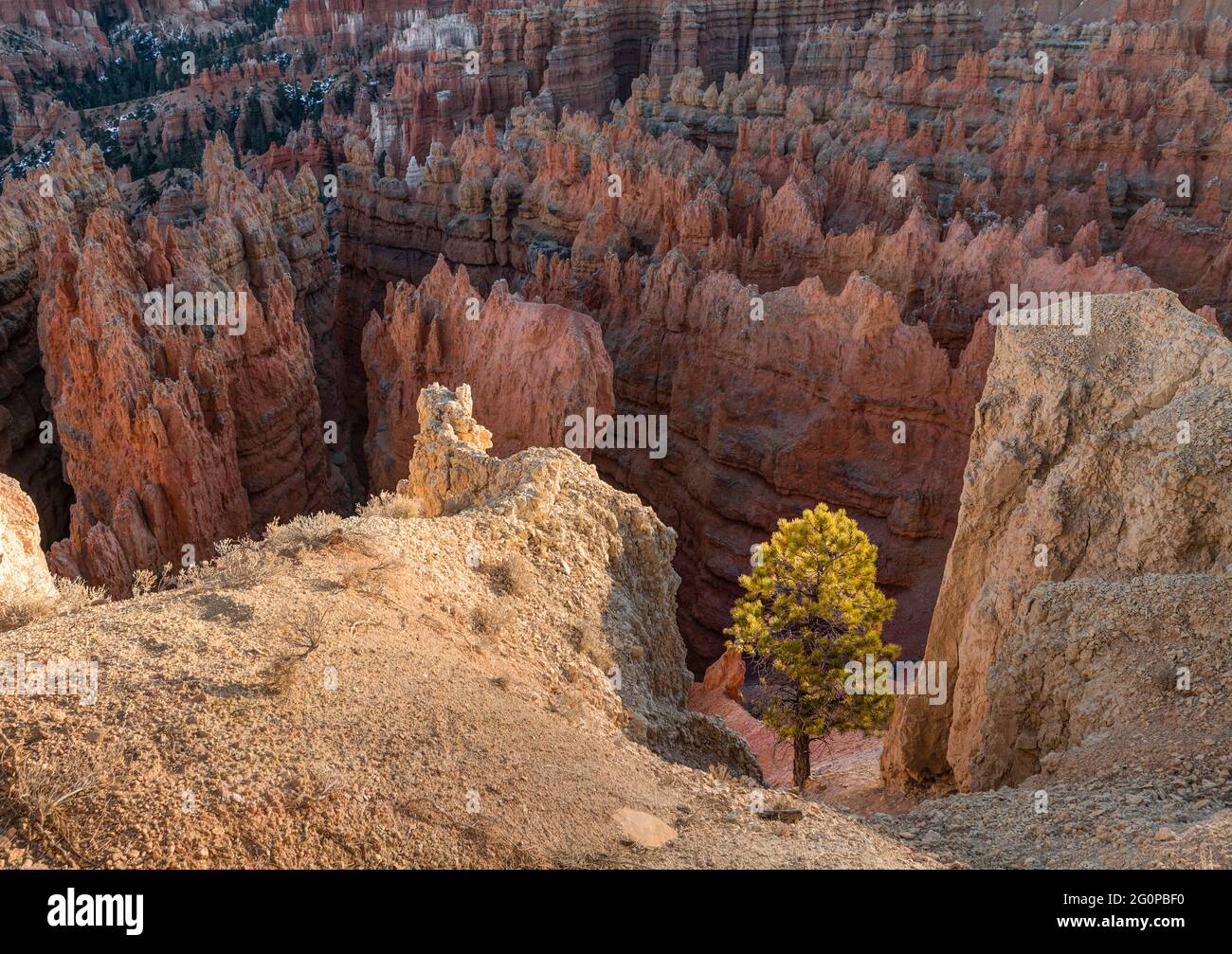 Bryce Canyon dal punto di tramonto, Utah, Stati Uniti d'America Foto Stock