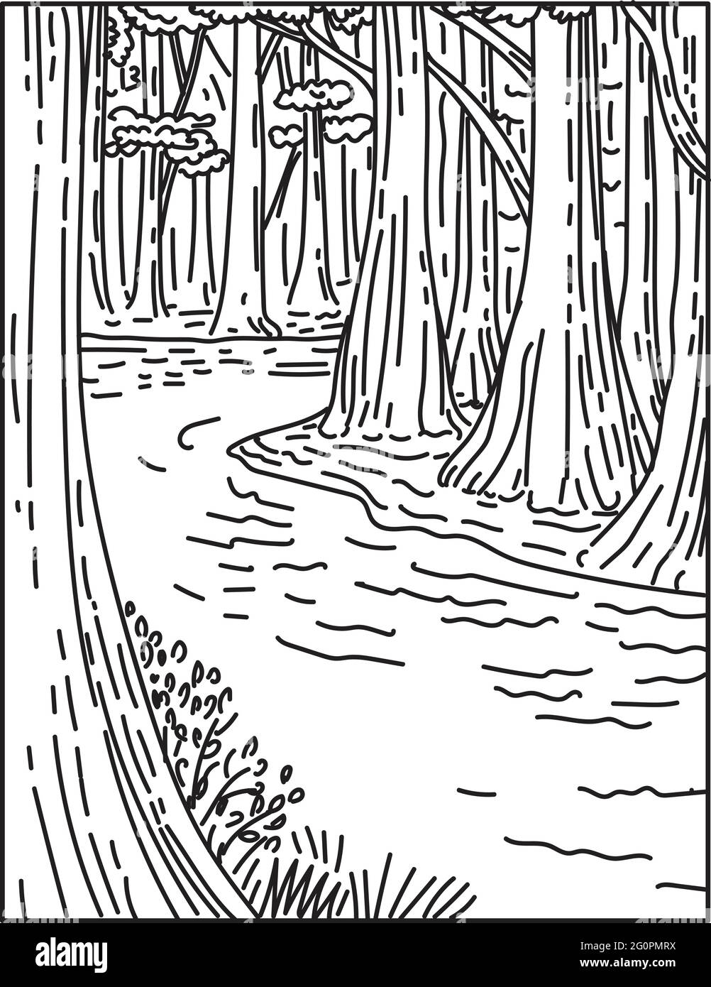 MONO line illustrazione di una vecchia crescita della foresta di latifoglie del fondo in Congaree National Park nel centro della Carolina del Sud, Stati Uniti fatto in retro bl Illustrazione Vettoriale
