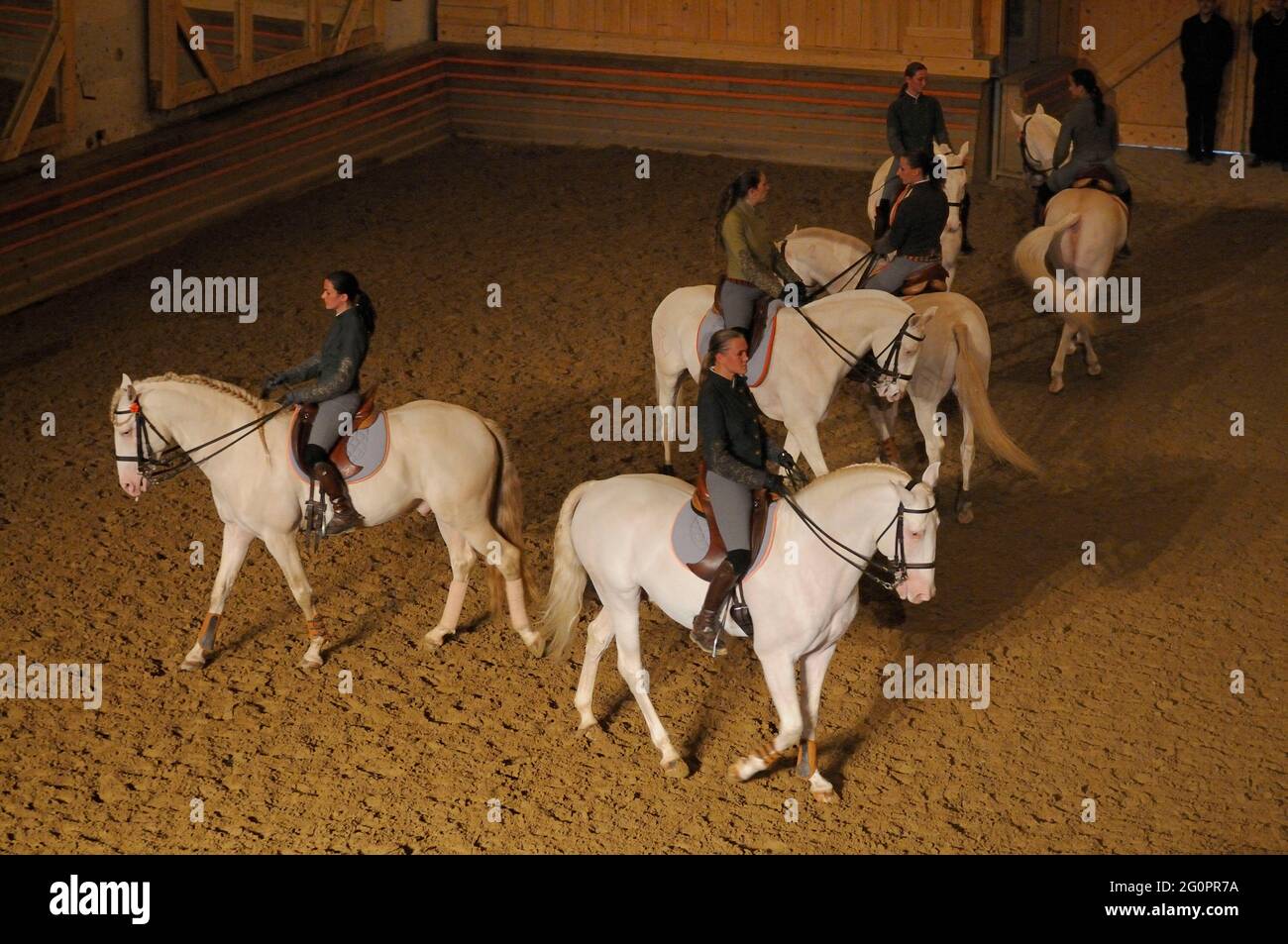 FRANCIA. YVELINES (78) VERSAILLES. ACADEMIE DU SPECTACLE EQUESTRE (SPETTACOLO DELL'ACCADEMIA EQUESTRE) MANEGE DEL CASTELLO GRANDE ETURIE Foto Stock