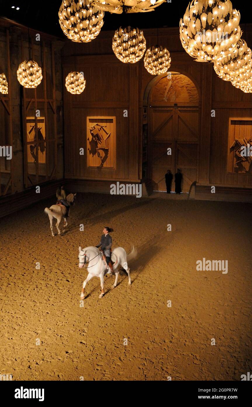 FRANCIA. YVELINES (78) VERSAILLES. ACADEMIE DU SPECTACLE EQUESTRE (SPETTACOLO DELL'ACCADEMIA EQUESTRE) MANEGE DEL CASTELLO GRANDE ETURIE Foto Stock