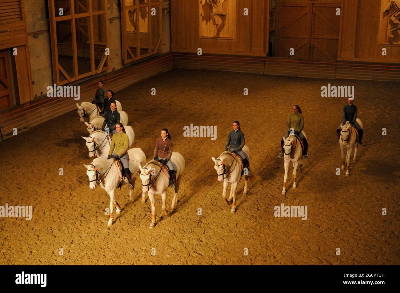 FRANCIA. YVELINES (78) VERSAILLES. ACADEMIE DU SPECTACLE EQUESTRE (SPETTACOLO DELL'ACCADEMIA EQUESTRE) MANEGE DEL CASTELLO GRANDE ETURIE Foto Stock
