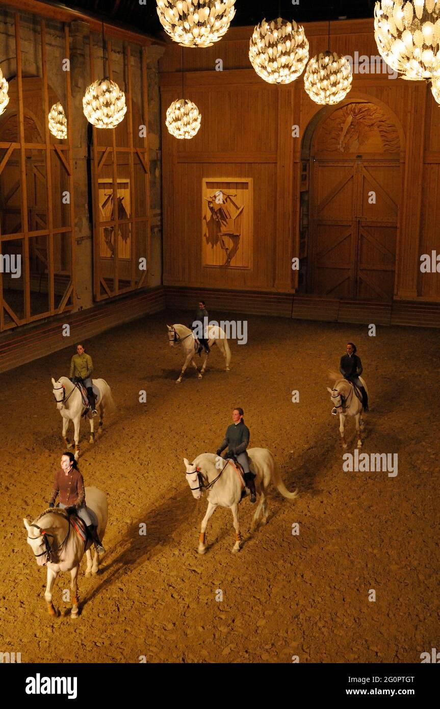 FRANCIA. YVELINES (78) VERSAILLES. ACADEMIE DU SPECTACLE EQUESTRE (SPETTACOLO DELL'ACCADEMIA EQUESTRE) MANEGE DEL CASTELLO GRANDE ETURIE Foto Stock