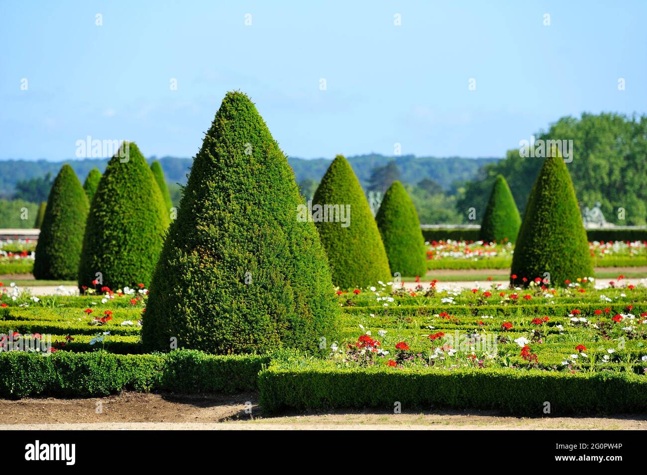 FRANCIA, YVELINES (78) DOMAINE DE VERSAILLES, I GIARDINI, PARTERRE SUD Foto Stock