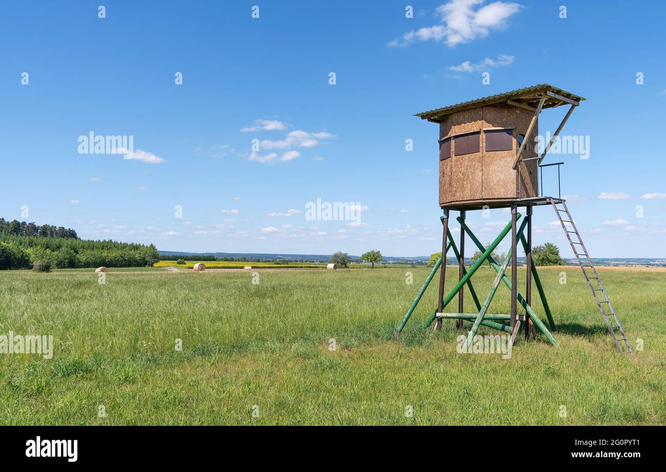 Cervi chiusi si trovano su un prato in paesaggio rurale Foto Stock