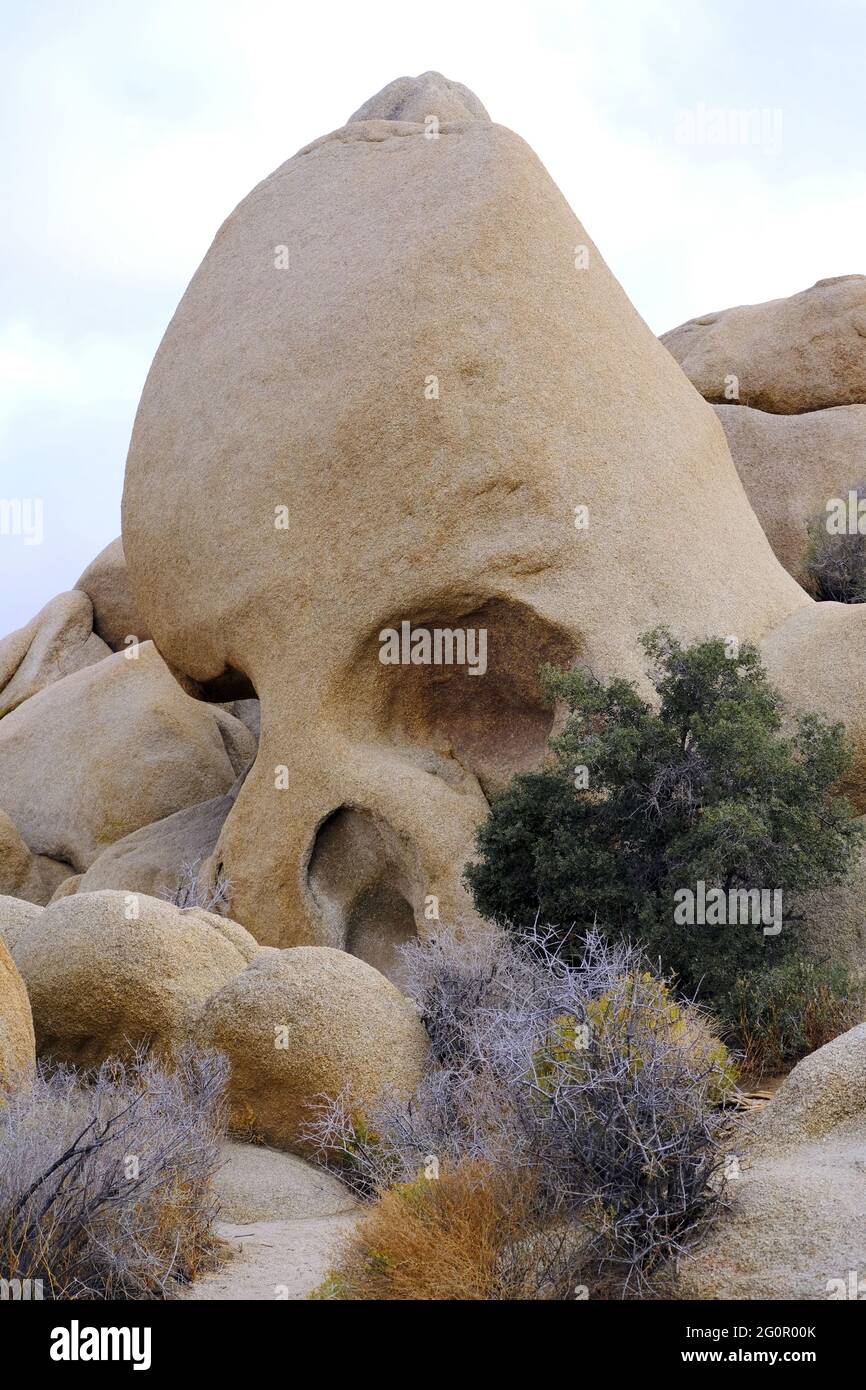 SKULL ROCK, JOSHUA TREE NATIONAL PARK, CALIFORNIA, VICINO A PALM SPRINGS, FORMAZIONI ROCCIOSE, ESCURSIONI Foto Stock