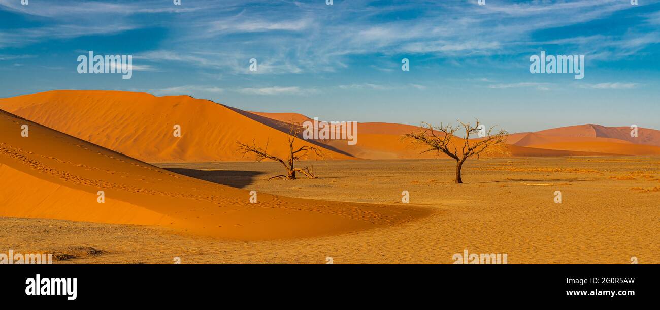 Panorama deserto paesaggio con grandi dune di sabbia e due alberi morti a Sossusvlei, Namibia Foto Stock