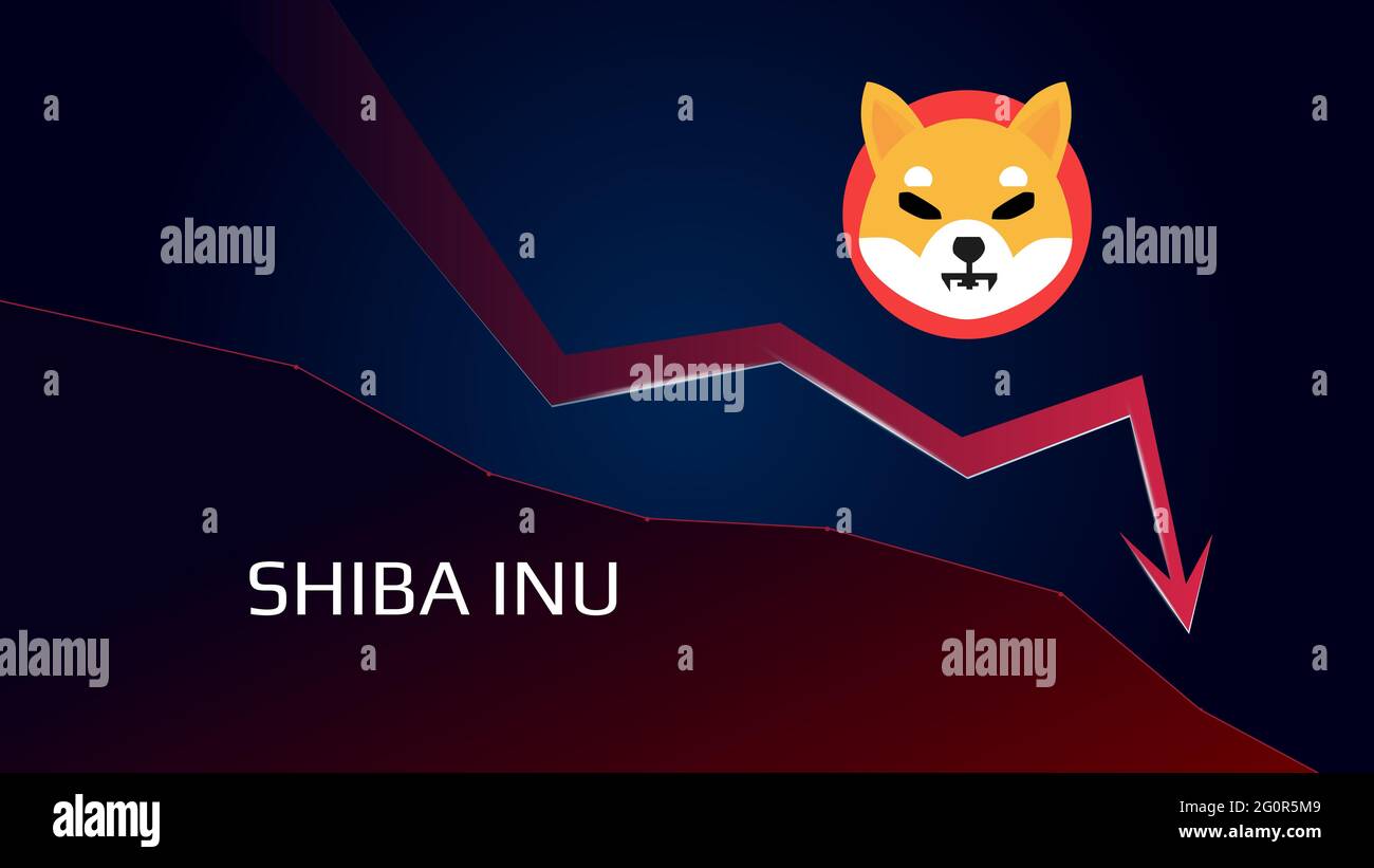 Shiba Inu SHIB in downtrend e il prezzo scende. Simbolo della moneta criptata e freccia rossa verso il basso. Uniswap si schiacciò e cadde. Crisi del commercio della criptovaluta Foto Stock