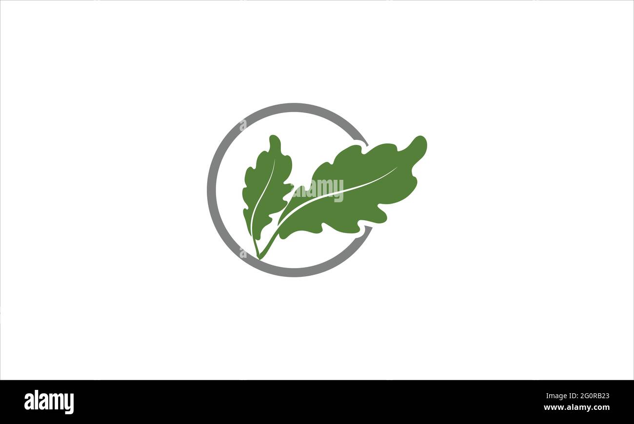 Illustrazione del logo della foglia di quercia Acorn icona vettoriale illustrazione del design Illustrazione Vettoriale
