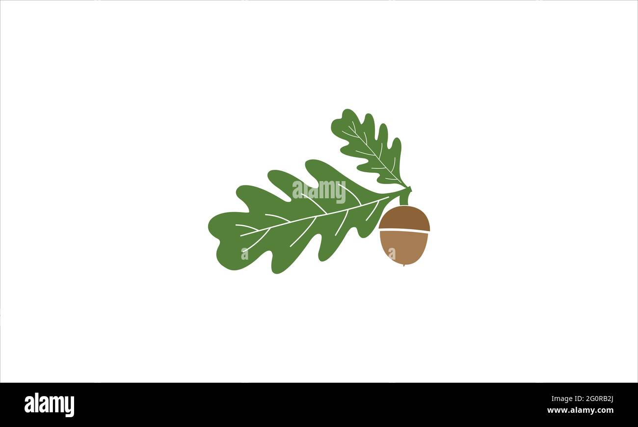 Illustrazione del modello vettoriale di Acorn con logo Leaf Illustrazione Vettoriale
