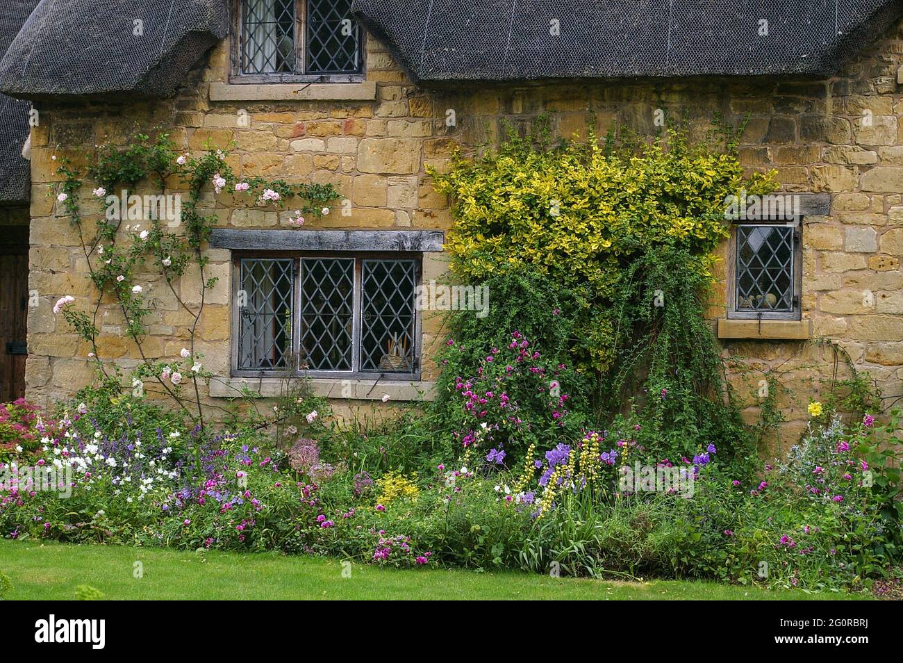 Cottage in pietra color miele Cotswold sulla High Street, nella bella città di Broadway, Cotswolds, Regno Unito; fronte giardino fiorito confine. Foto Stock