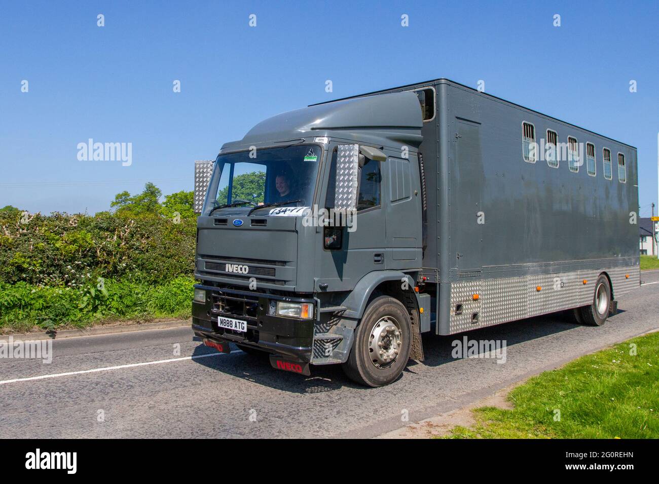 Iveco-Ford 1998 5681cc crine diesel grigio, furgone crine; Coach costruito van conversione equino trasporto animale viaggiare a Congleton, Regno Unito Foto Stock