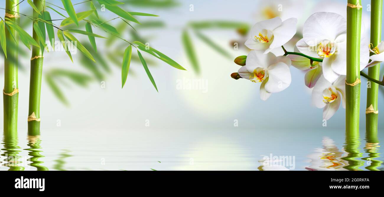 sfondo spa con ocideen e bamboo in verde Foto Stock