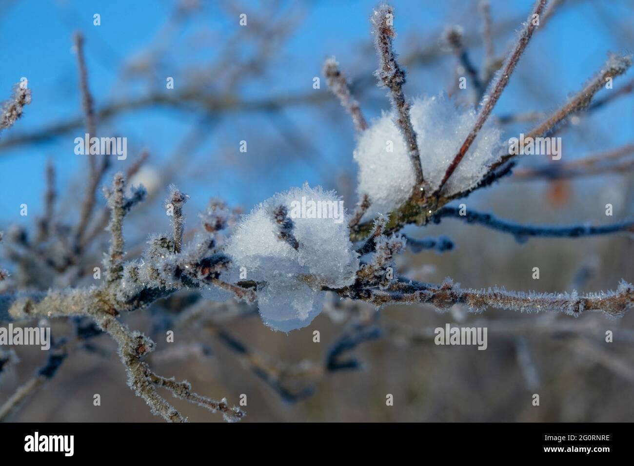 Neve-coperto scena invernale Foto Stock