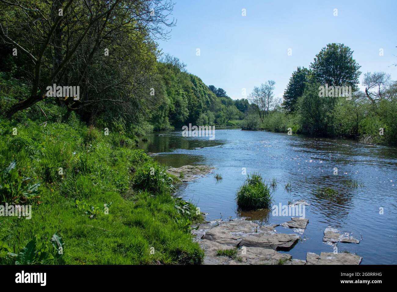 Abbigliamento River Wear al Sunderland Bridge, contea di Durham Foto Stock