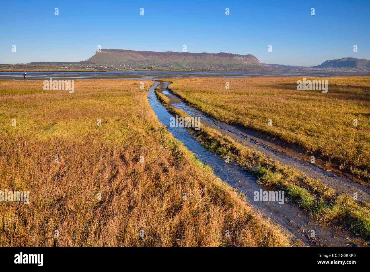Irlanda, Contea di Sligo, ben Bulben montagna con Rosses Point 3 ° spiaggia in primo piano in una chiara giornata di inverni. Foto Stock