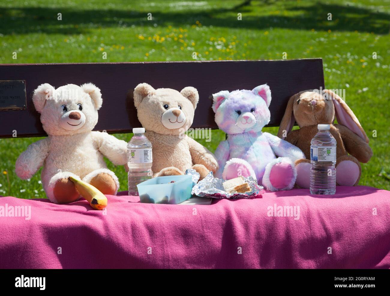 Picnic con Teddy Bears al Kidston Park, Helensburgh, Argyll, Scozia Foto Stock