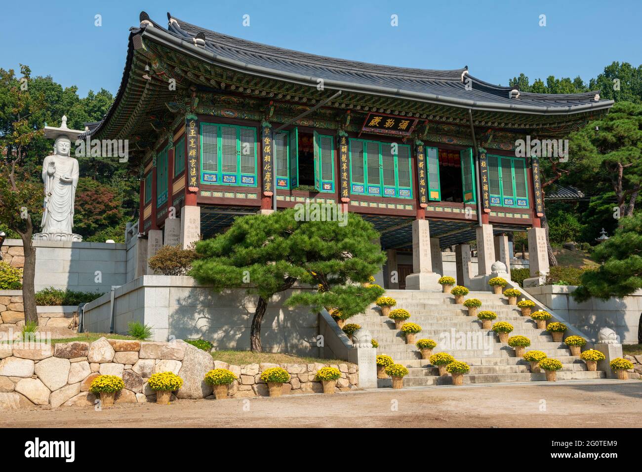 Statua di Buddha sullo sfondo di alberi verdi nel tempio di Bongeunsa nel distretto di Gangnam a Seoul, Corea del Sud. E' una popolare attrazione turistica dell'Asia. Foto Stock