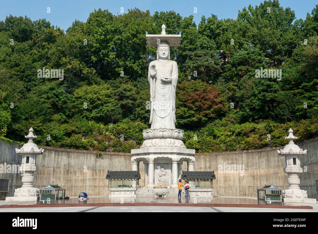 Statua di Buddha sullo sfondo di alberi verdi nel tempio di Bongeunsa nel distretto di Gangnam a Seoul, Corea del Sud. E' una popolare attrazione turistica dell'Asia. Foto Stock