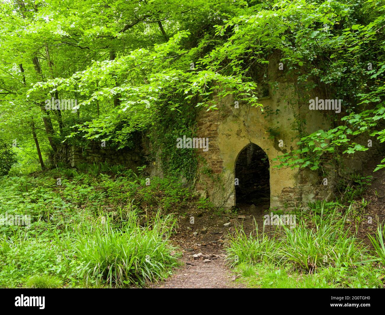 Le rovine di Mendip Lodge, il ritiro di campagna del 18 ° secolo del reverendo Thomas Sedgewick Whalley, nel legno di Mendip Lodge nelle colline di Mendip, alta Langford, Somerset del Nord, Inghilterra. Foto Stock