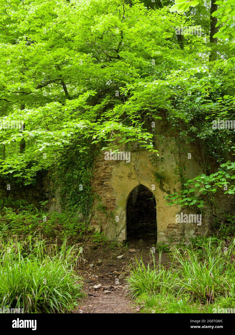 Le rovine di Mendip Lodge, il ritiro di campagna del 18 ° secolo del reverendo Thomas Sedgewick Whalley, nel legno di Mendip Lodge nelle colline di Mendip, alta Langford, Somerset del Nord, Inghilterra. Foto Stock