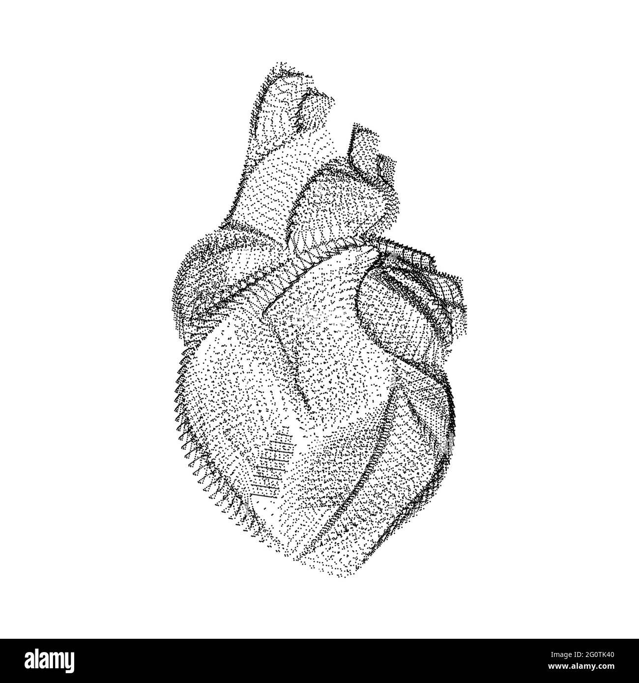 Silhouette del cuore umano composta da punti neri e particelle. Reticolo vettoriale 3D dell'organo interno con una struttura a grana. Icona geometrica astratta con Illustrazione Vettoriale