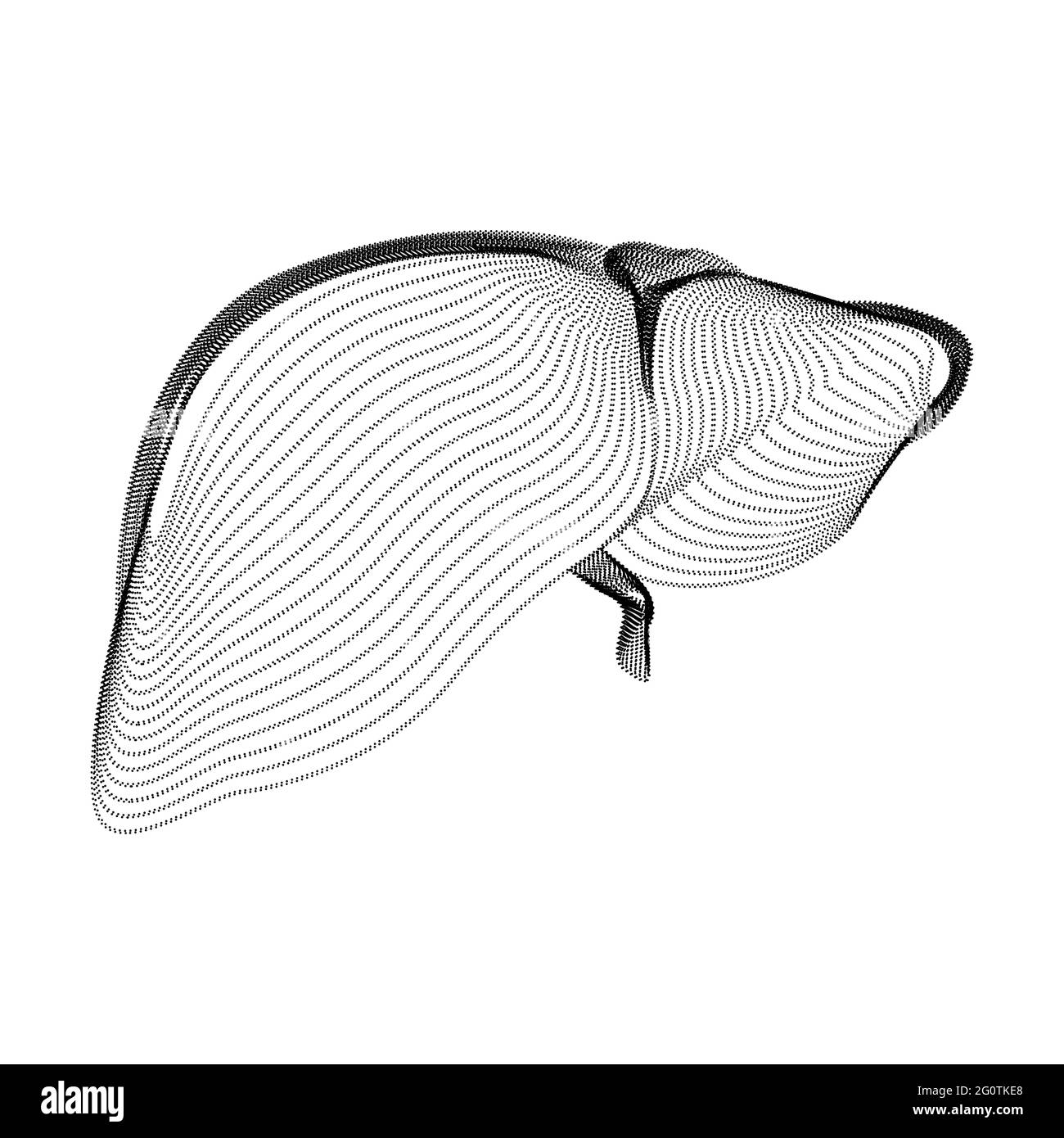Silhouette di fegato composta da punti neri e particelle. Reticolo vettoriale 3D di un organo interno con una struttura a grana. Icona geometrica astratta con d Illustrazione Vettoriale