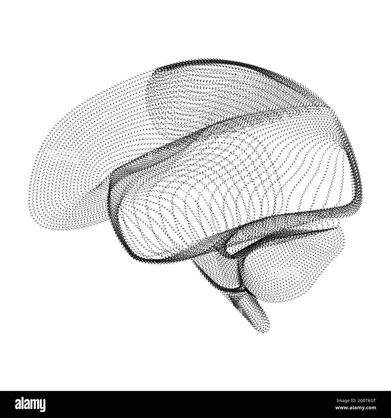 Silhouette cerebrale umana composta da punti neri e particelle. Reticolo vettoriale 3D dell'organo interno con una struttura a grana. Icona geometrica astratta con Illustrazione Vettoriale