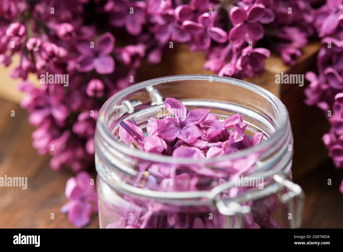 Fiori di lilla in un vaso, mazzo di fiori di Syringa. La preparazione di infusione, zucchero aromatico o marmellata da fiori di Lilac a casa. Foto Stock