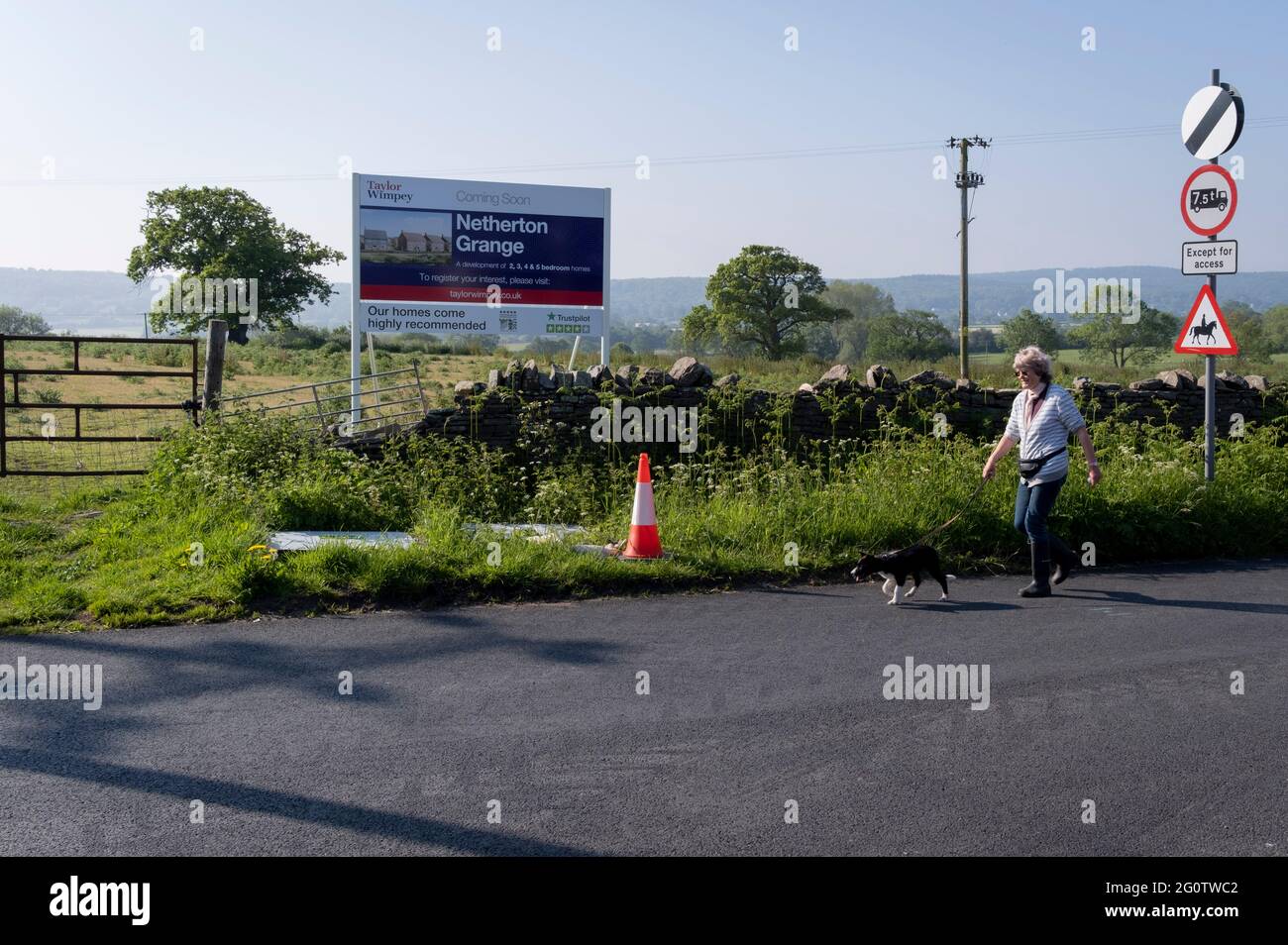 Un camminatore di cani locali passa attraverso un paesaggio idilliaco di campi verdi e terreni agricoli che presto cambierà per sempre quando sarà costruito da sviluppatore di alloggi Taylor Wimpey a Netherton Grange, Youngwood Lane, Nailsea, il 31 maggio 2021, a Nailsea, Nord Somerset, Inghilterra. Quasi 170 case sono impostate per essere costruite qui sul bordo di Nailsea dopo che i piani dettagliati sono stati approvati. Il trenta per cento delle case sarà acquistabile. Foto Stock