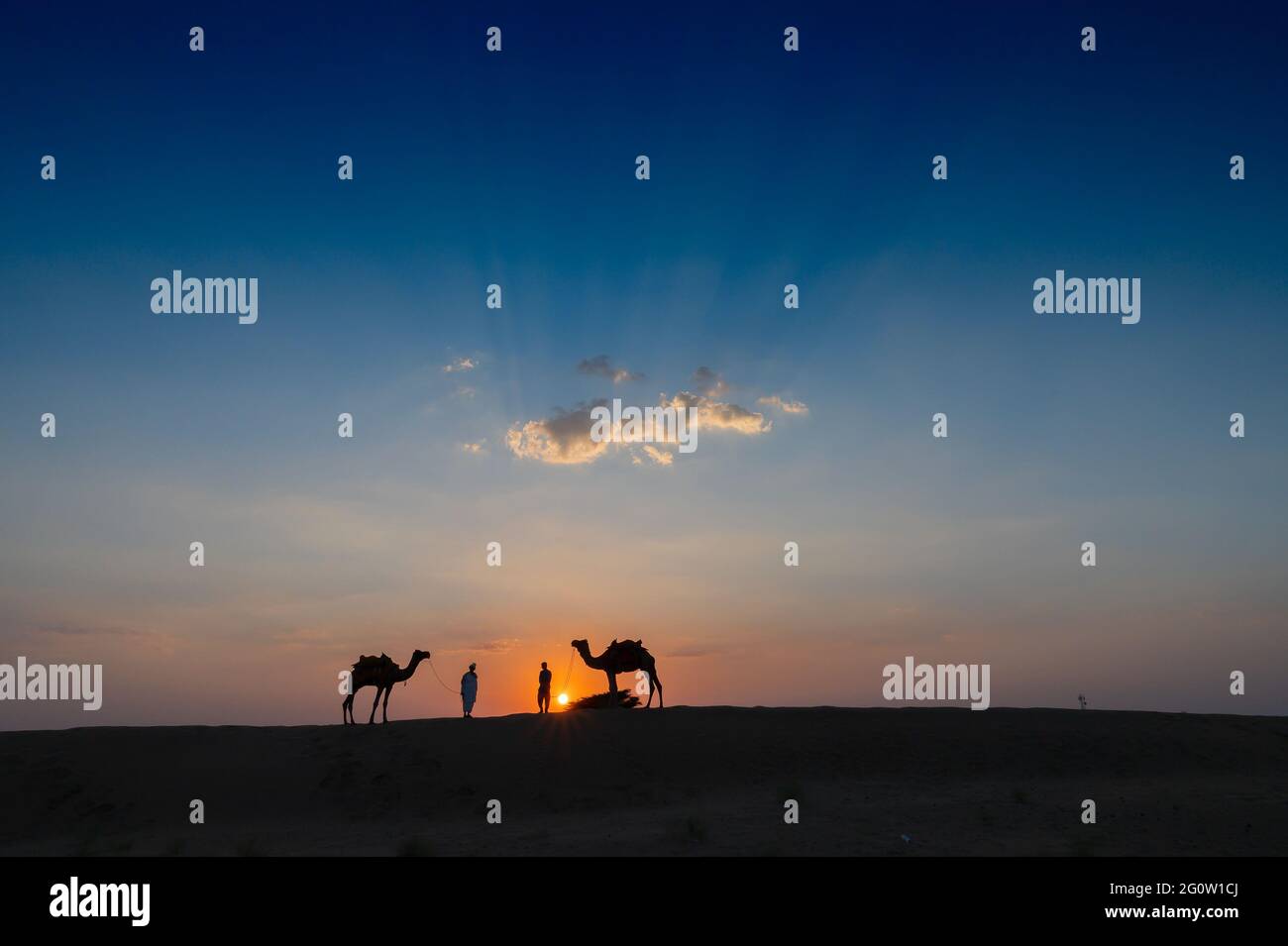 Silhouette di due cammelli e i loro cammelli alle dune di sabbia del deserto di Thar, Rajasthan, India. Nuvola con il sole che tramonta, cielo sullo sfondo. Cameleers Foto Stock