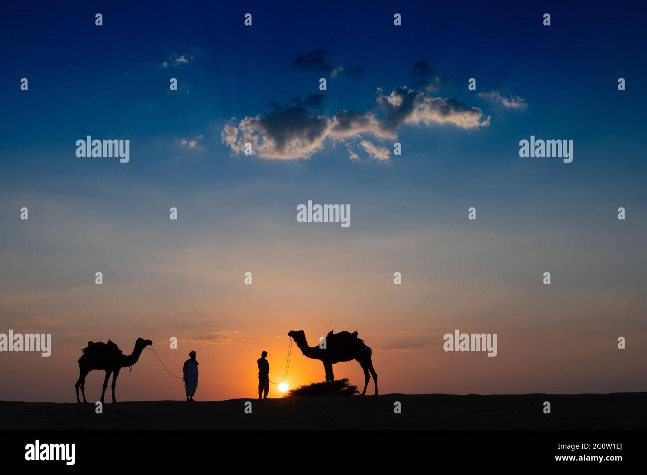 Silhouette di due cammelli e i loro cammelli alle dune di sabbia del deserto di Thar, Rajasthan, India. Nuvola con il sole che tramonta, cielo sullo sfondo. Cameleers Foto Stock