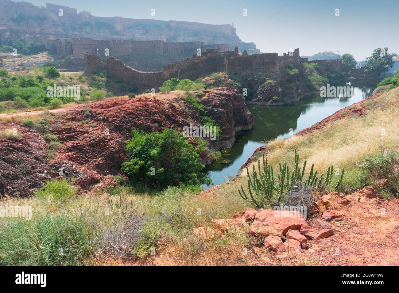 Vista del forte di Mehrangarh dal parco roccioso del deserto di Rao Jodha, Jodhpur, India. Un cactus solista in primo piano, lago in Middleground e Mehrangarh forte. Foto Stock