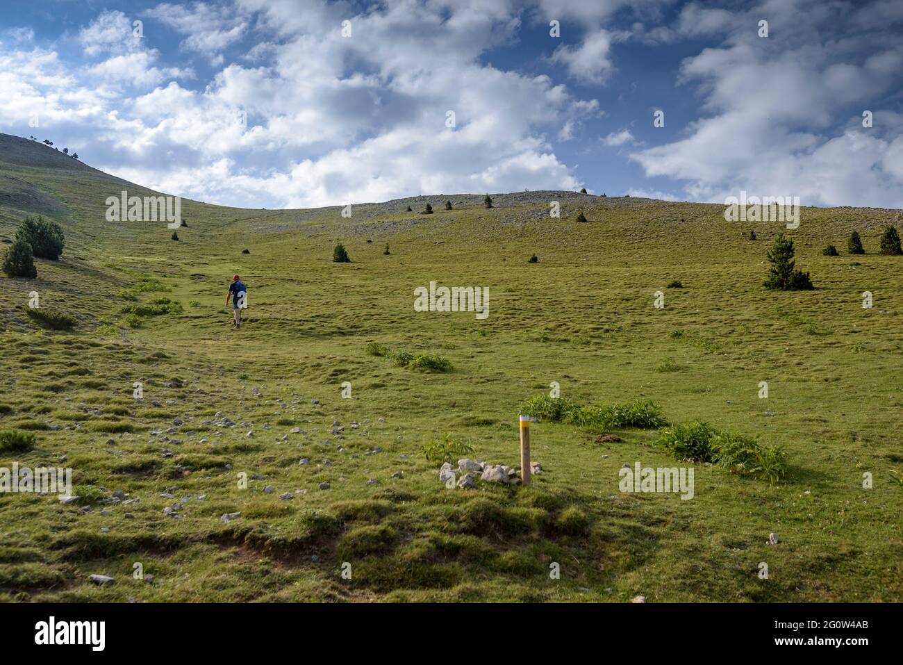 Prati alpini con percorso poco trodden a Setfonts, salendo la Pedraforca da Gósol (Berguedà, Catalogna, Spagna, Pirenei) Foto Stock