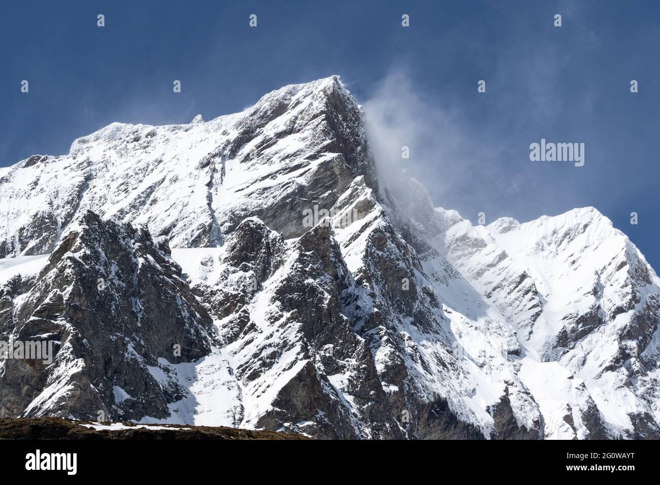 Vento soffiato neve Cervinia Fauna Valle d'Aosta Italia @FabrizioMalisan Photography-6006 Foto Stock