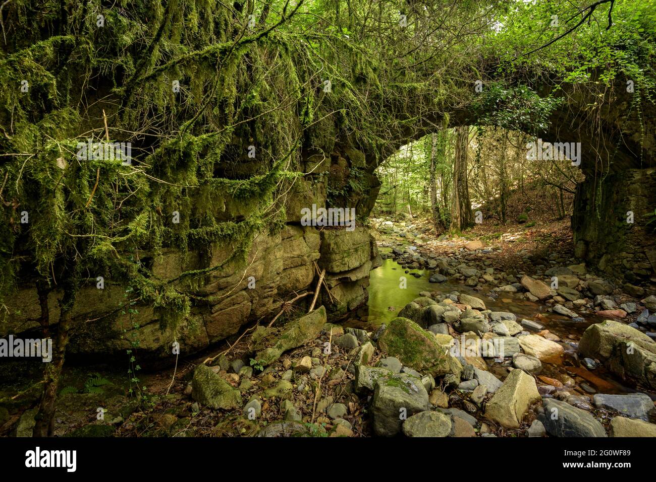 Ponte medievale nella foresta vicino la Sala casa di campagna (Viladrau, Catalogna, Spagna) ESP: Puente medievale en el bosque cerca de la masía de la Sala Foto Stock