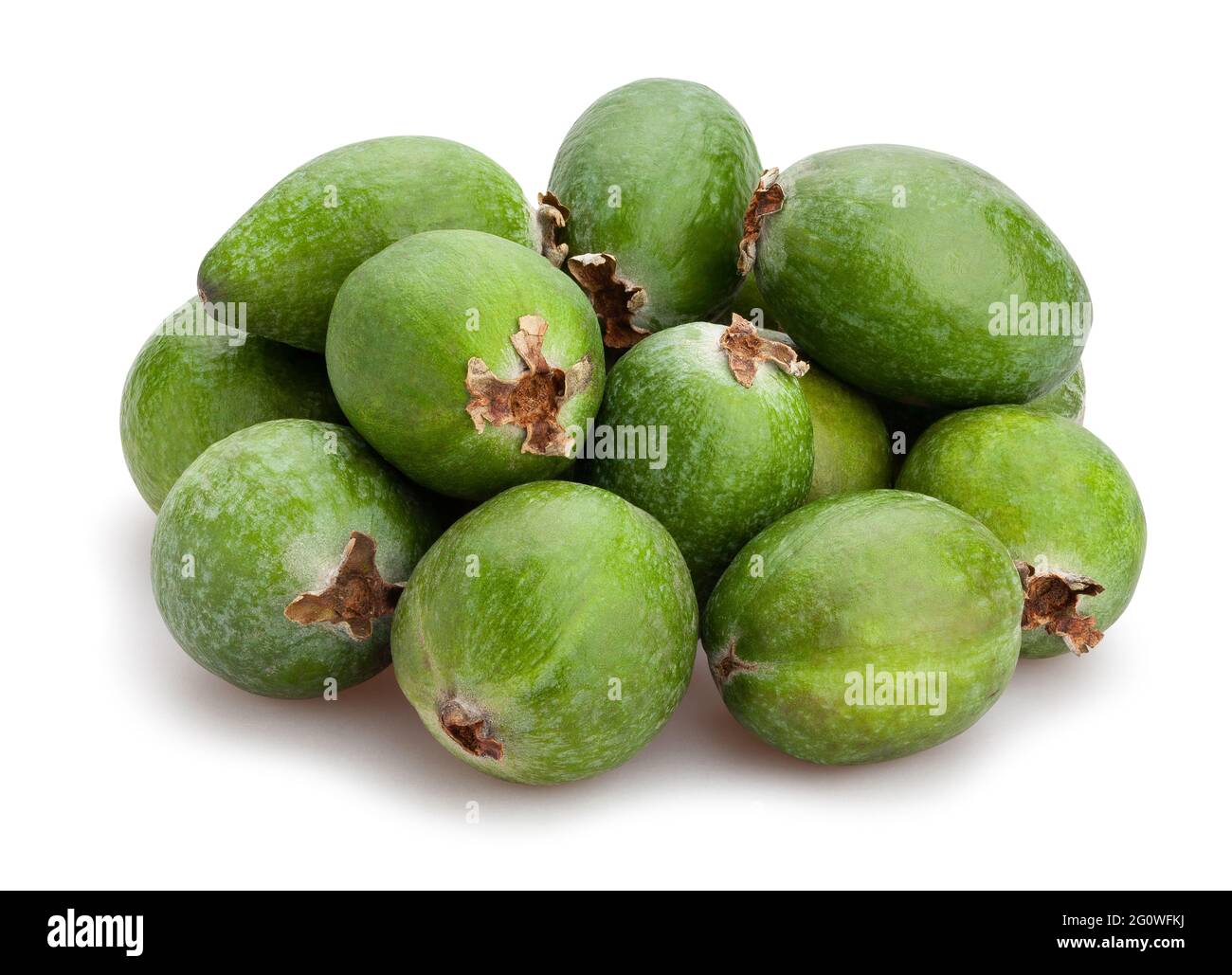 sentiero feijoa isolato su bianco Foto Stock