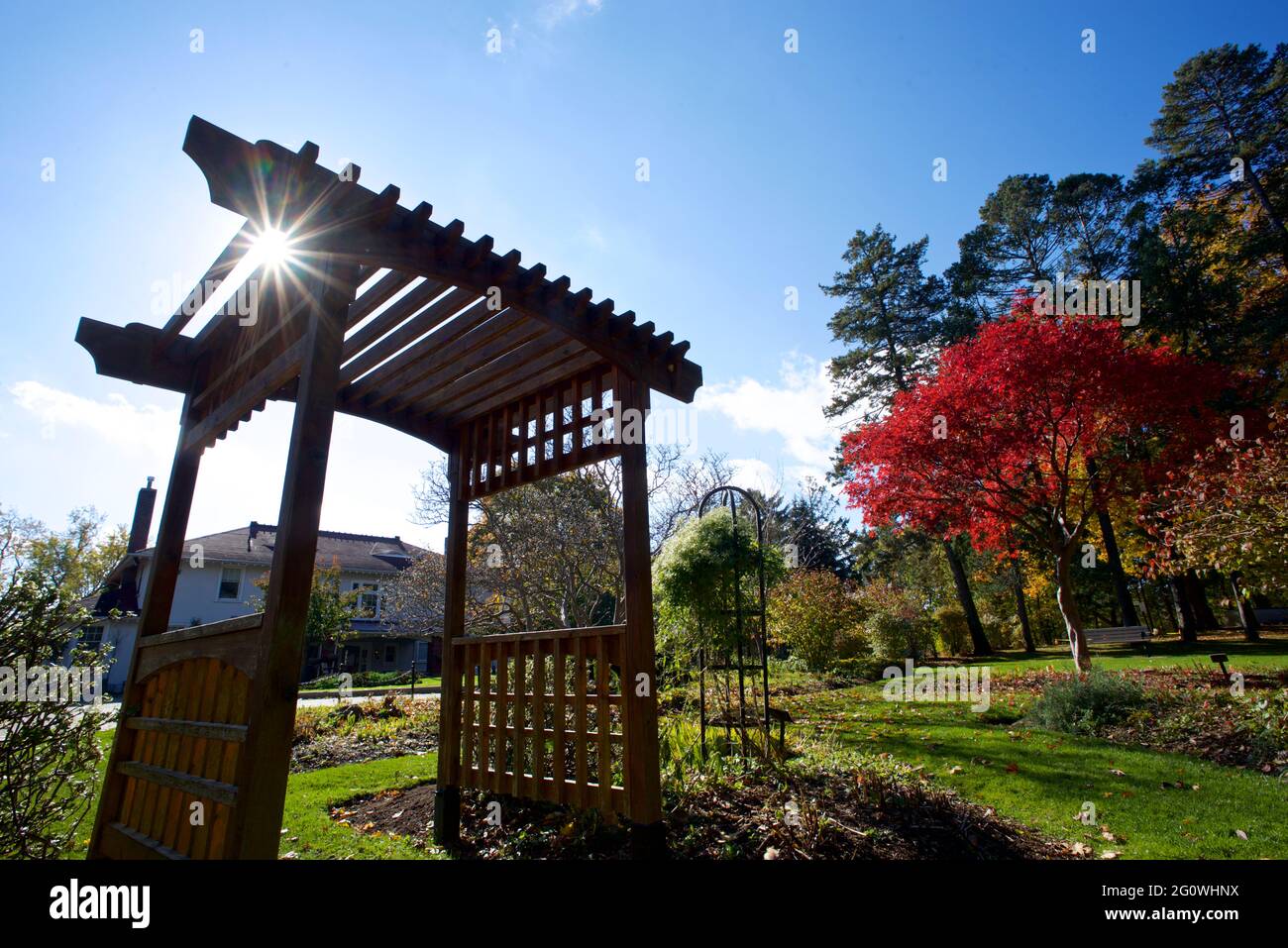 Vista dal basso angolo della tettoia nel parco pubblico Foto Stock Vista dal basso angolo della tettoia nel parco pubblico Foto Stock