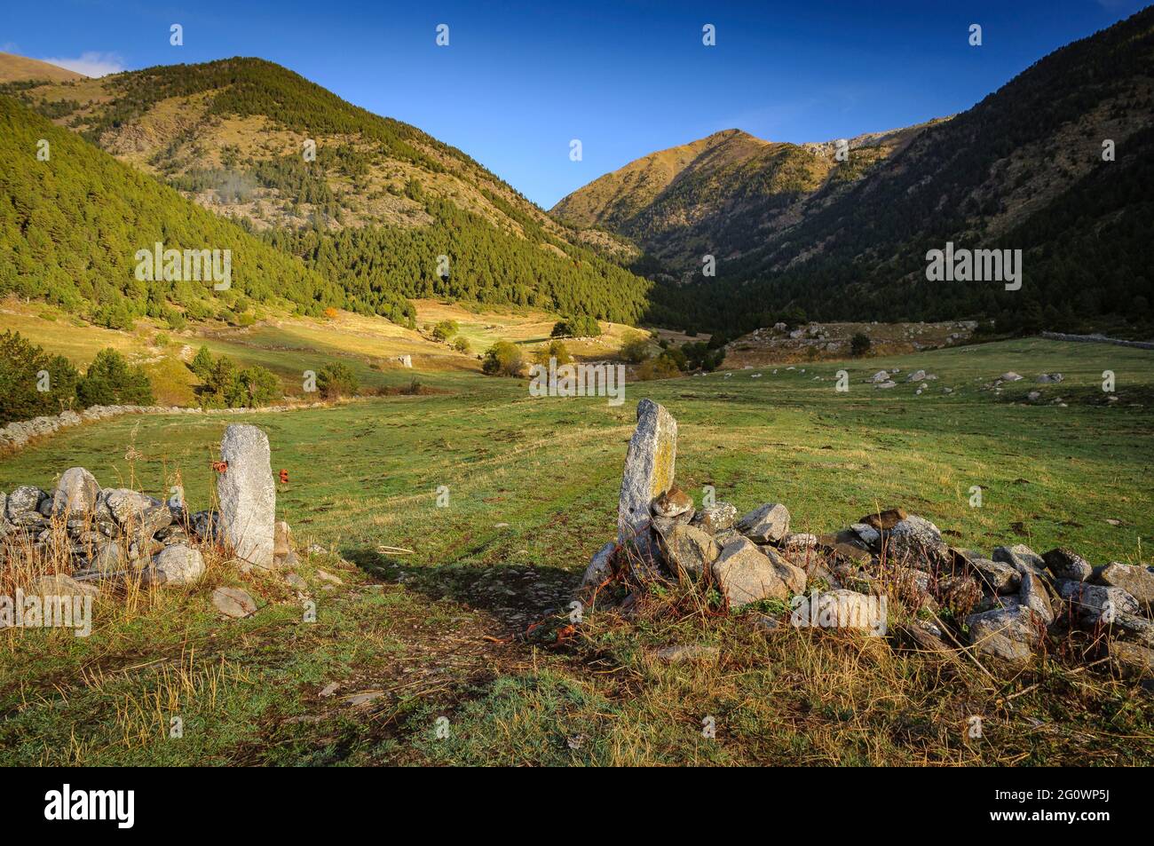 Vall Tova in autunno, sul sentiero tra la pianura di Camplong e il rifugio Engorgs (Cerdanya, Catalogna, Spagna, Pirenei) Foto Stock