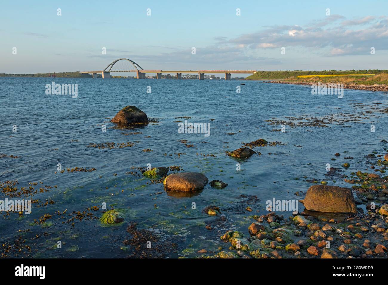Fehmarn Sound Bridge, West Beach, Großenbrode, Schleswig-Holstein, Germania Foto Stock