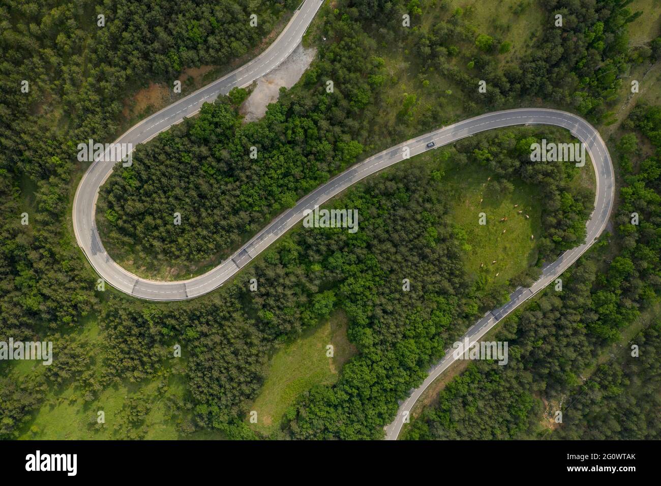 Veduta aerea di una strada curvilinea che va al monte Saldes e Pedraforcia (Berguedà, Catalogna, Spagna) Foto Stock