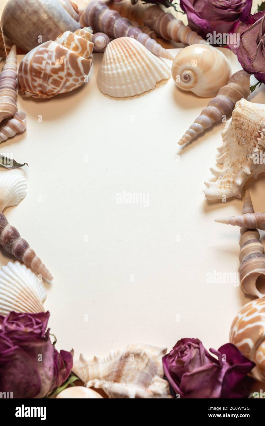 Immagine verticale di carta bianca circondata da conchiglie e rose rosa secche Foto Stock