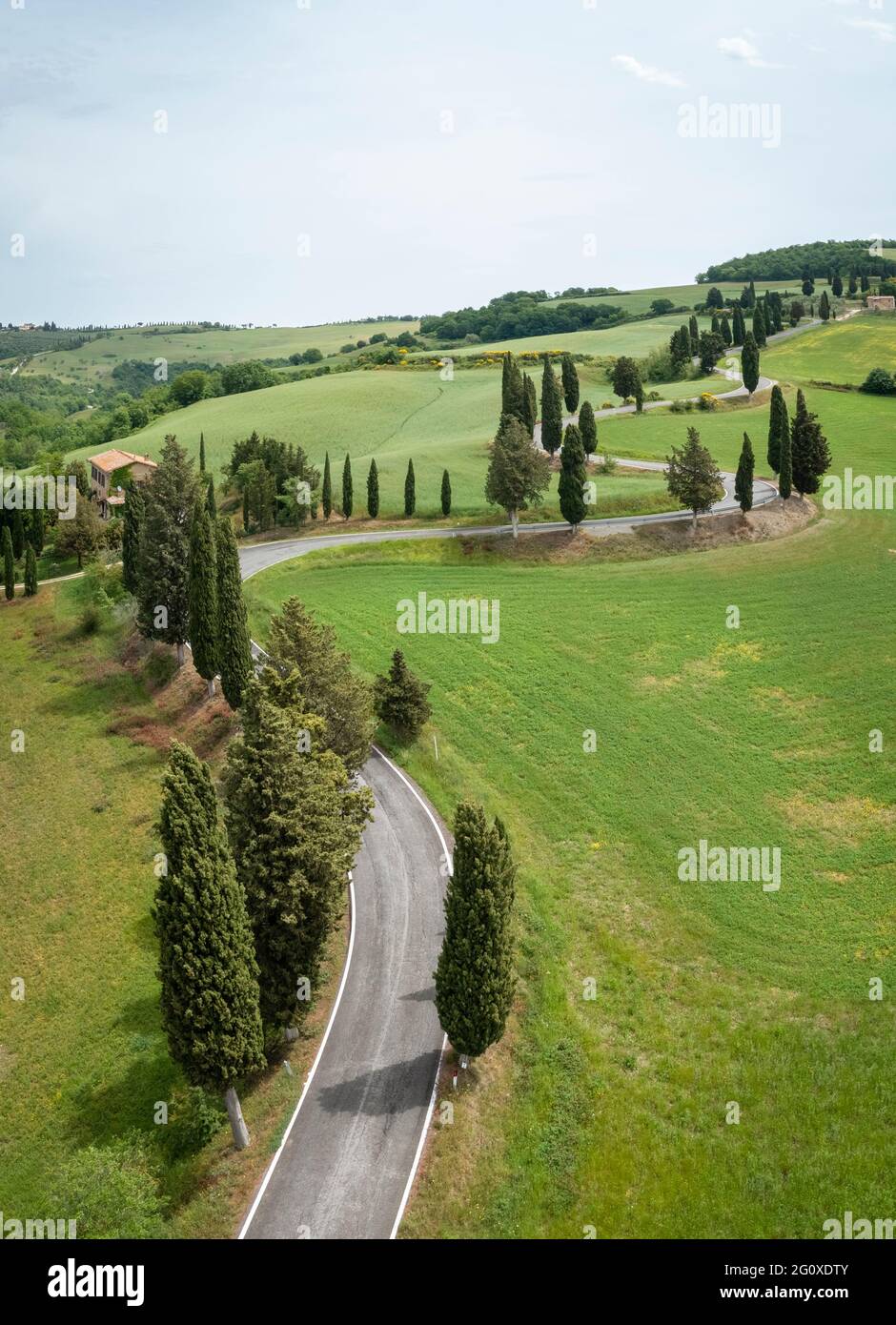 Vista aerea dell'iconica strada dei cipressi di Monticchiello. Pienza, Valle d'Orcia, Siena, Toscana, Italia, Europa. Foto Stock