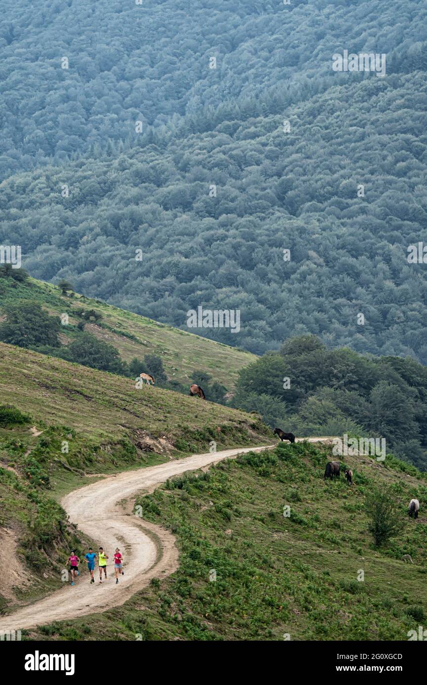 Gruppo di corridori che corrono su un sentiero lungo belle strade di montagna. Foto Stock