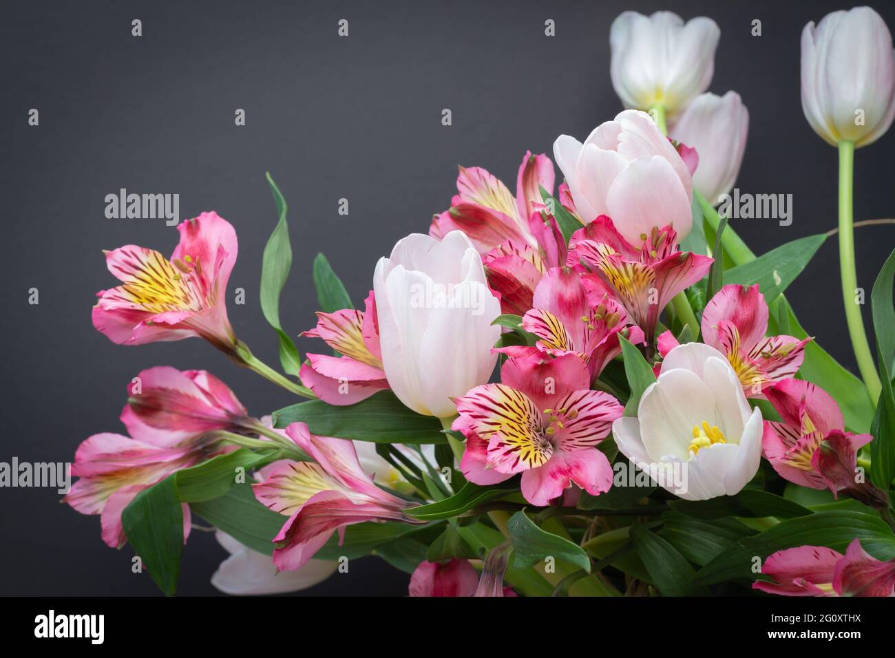 Fiori freschi di primavera immagini e fotografie stock ad alta risoluzione  - Alamy