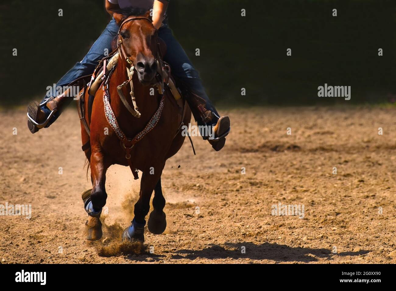 Un cavallo e un pilota premono fino al traguardo in un evento equestre a tempo. Foto Stock