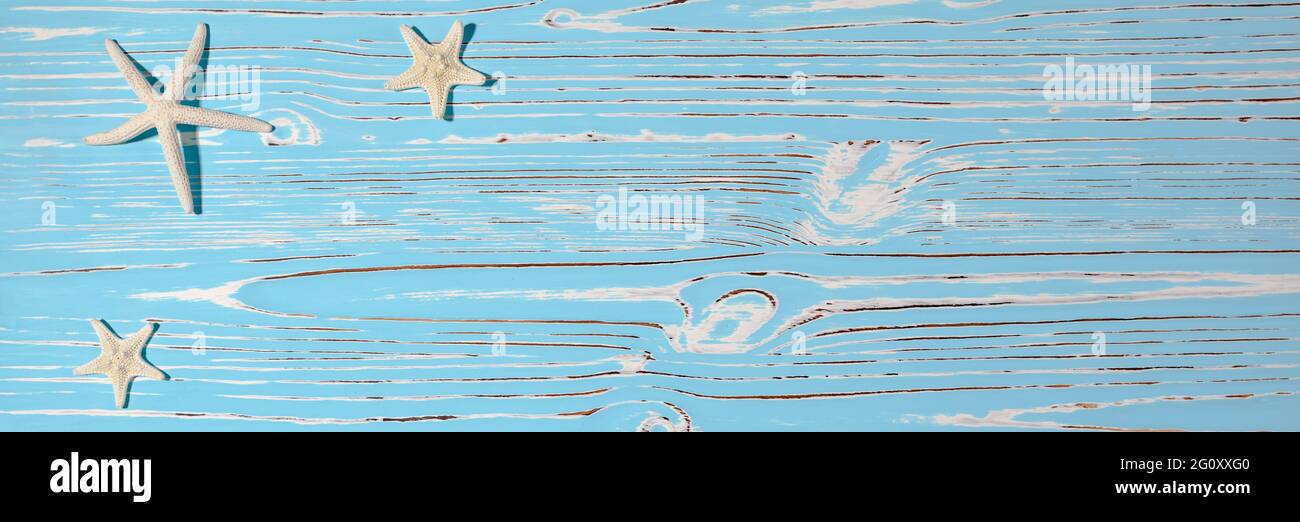 Conchiglie di stelle marine su sfondo blu di legno Foto Stock