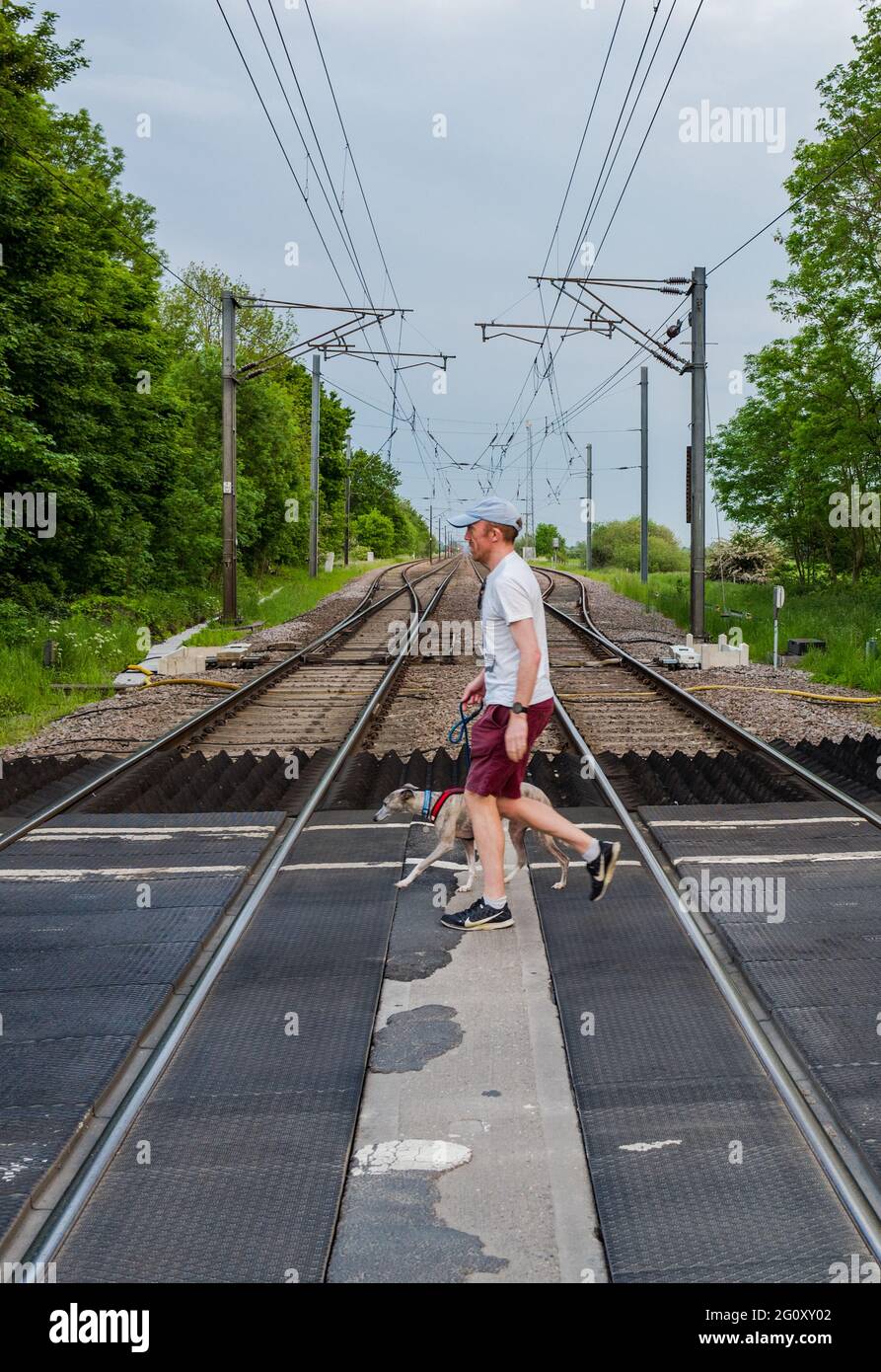 Uomo con cane da compagnia Whippet che attraversa una leva senza equipaggio che attraversa la linea principale della costa orientale. Foto Stock