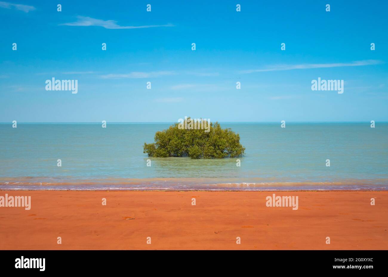 Acqua blu di sabbia rossa e mangrovie verdi a Roebuck Bay vicino a Broome Australia Occidentale con cielo blu e spazio per le copie Foto Stock
