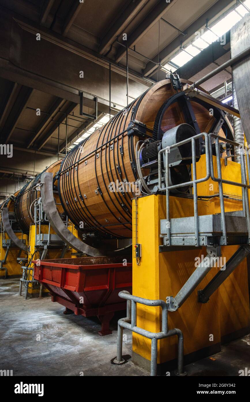 Conceria. Grandi fusti di legno per la concia di cuoio bovino. Foto Stock
